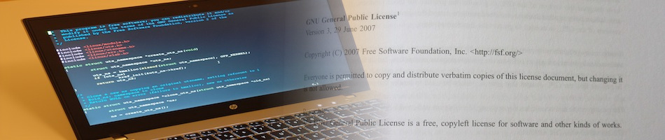 Software development, software licensing and Open Source
